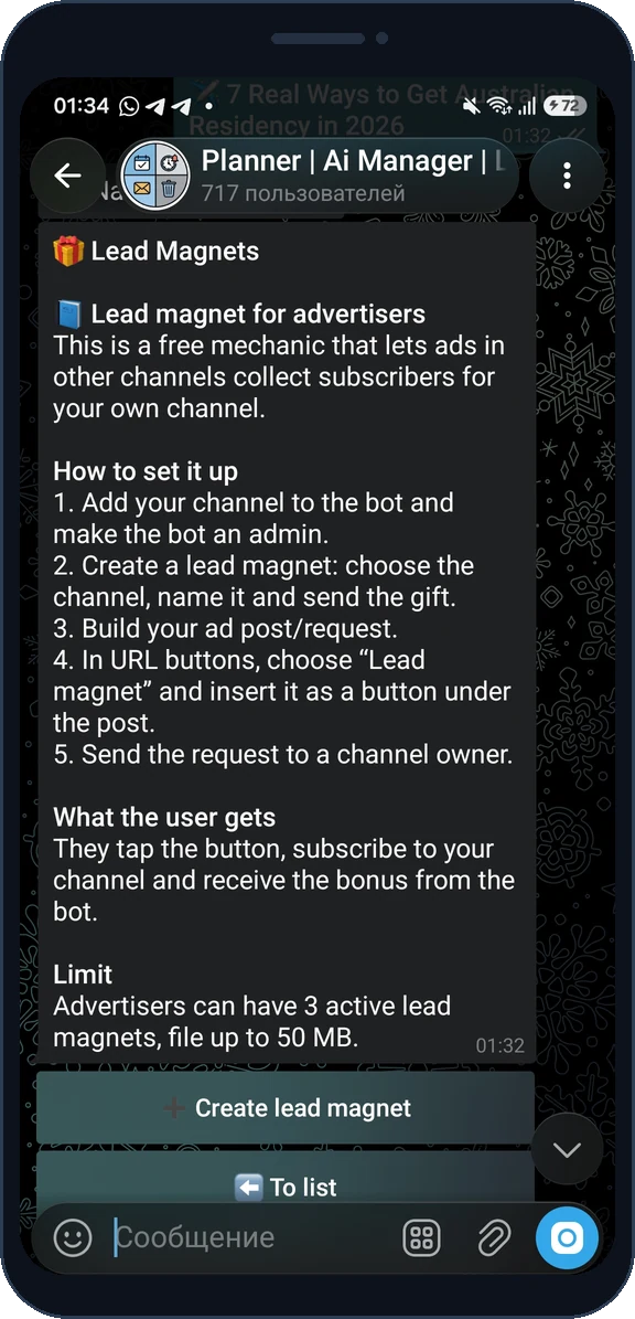 How to use lead magnets in ReklamaPlanbot