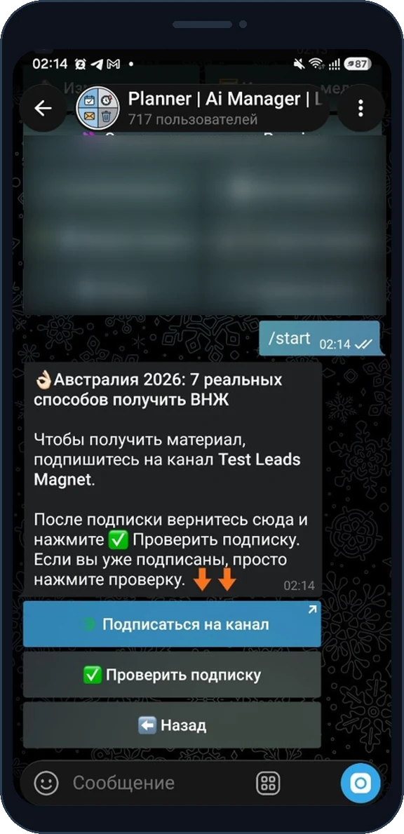 Бот просит подписаться на канал и проверить подписку
